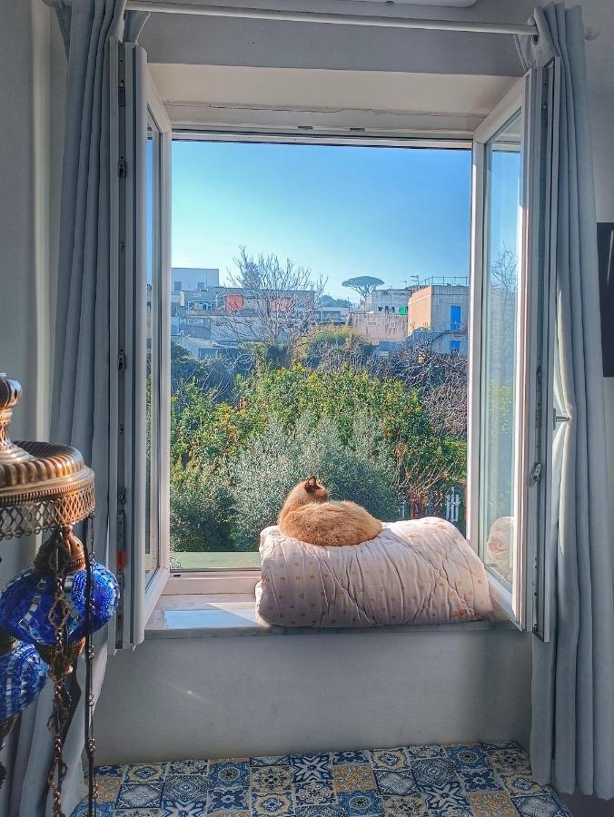 La Luna Nel Pozzo Procida Extérieur photo